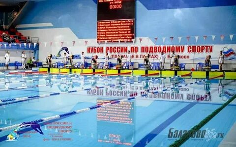 Альбатрос ул чапаева 114 фото