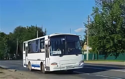 Расписание автобусов буй. Автобусы буй чистые боры. Автобусы кострома сусанино буй. Расписание автобусов галич кострома. Автобус кострома буй.