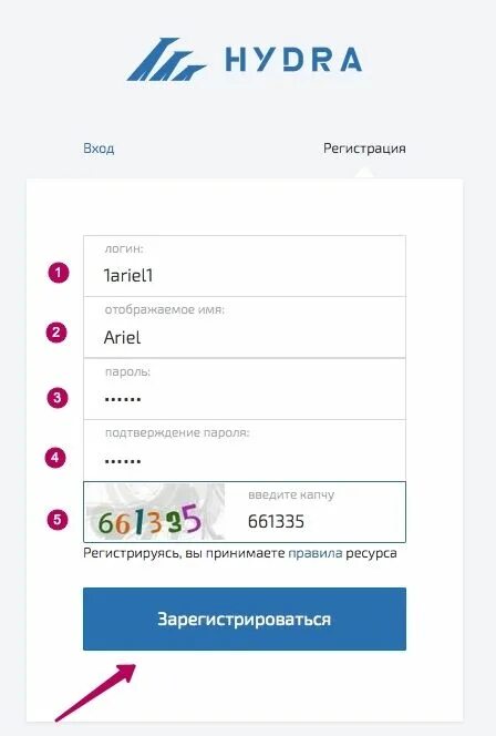 Какое отображаемое имя. Логин для гидры. Как зарегистрироваться на гидре. Отображаемое имя гидра. Гидра магазин.