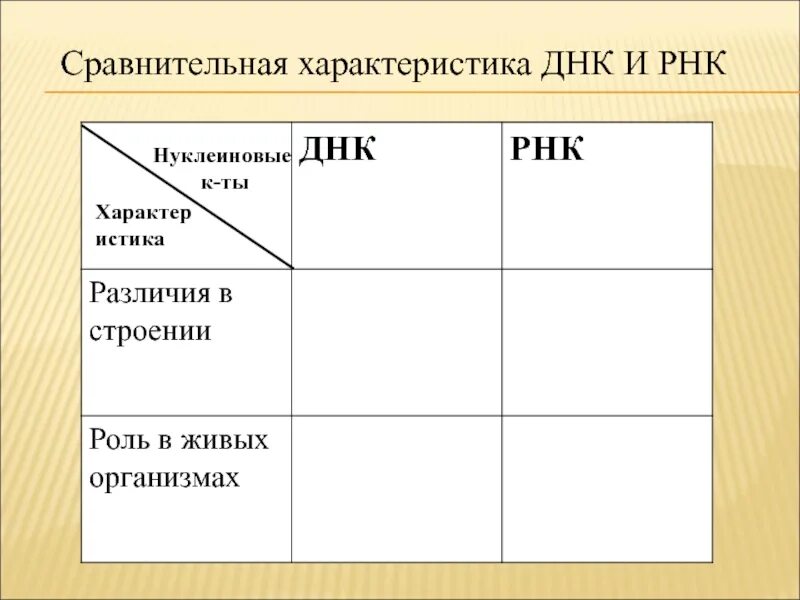 Сравнительная характеристика днк и рнк. Сравнительная характеристика днк и рнк таблица пустая. сравнительная характеристика рнк днк а ты.