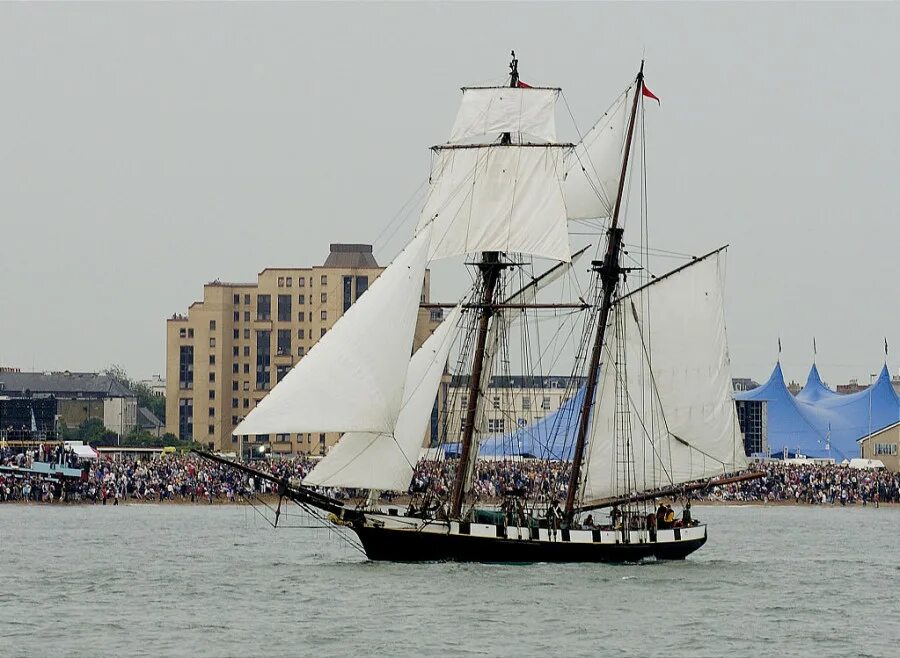 Шхуна в рок опере сканворд 5 букв. Шхуна ростислава алексеева. Шхуна shenandoah. Шхуна гафельная 19 века. Парусный клипер шхуна.