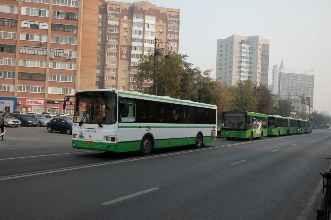 Движение автобусов 147