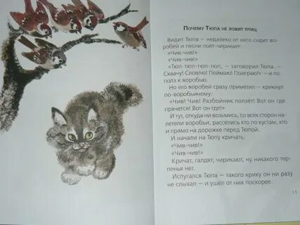 Почему тюпа не ловит птиц читать