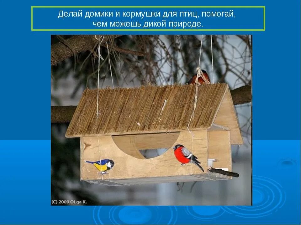 название кормушки для птиц. правильная кормушка для птиц. кормушка из бросового материала. разные виды кормушек. варианты кормушек для птиц.