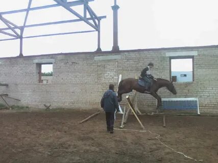 Ковров лошади