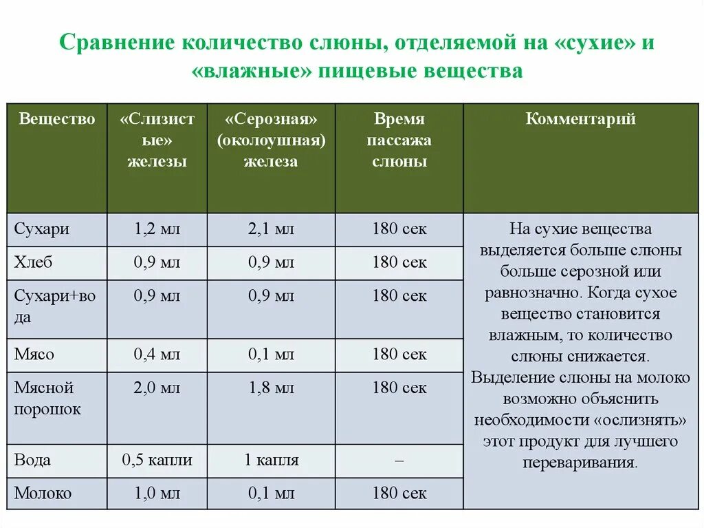 Сколько слюны у человека