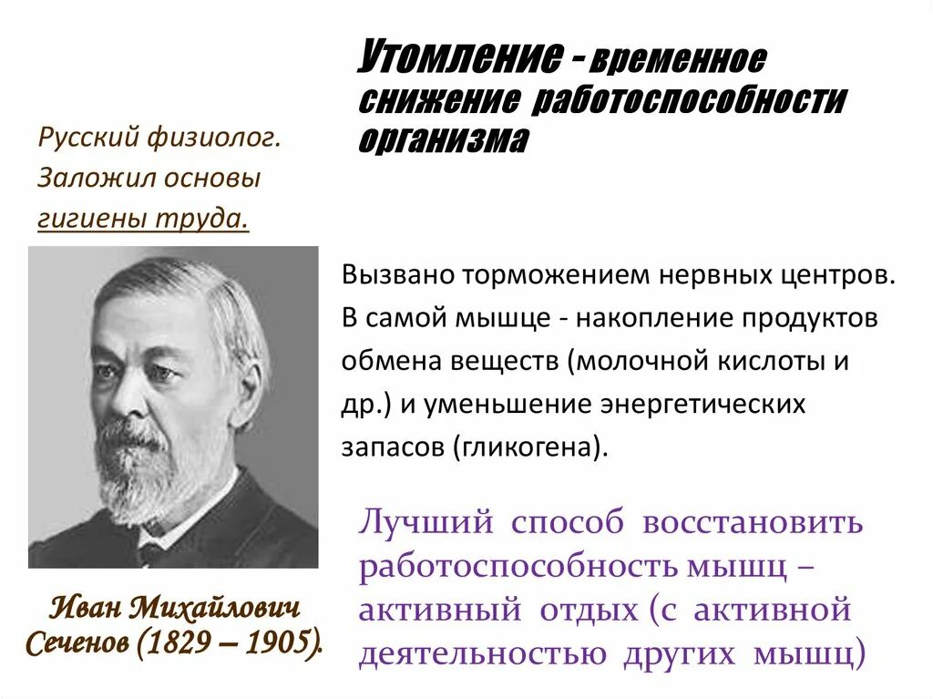 Сеченов утомление мышц. Активный отдых Сеченов. Сеченов физиолог. Утомление нервных центров.