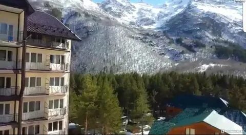 Барс чегет