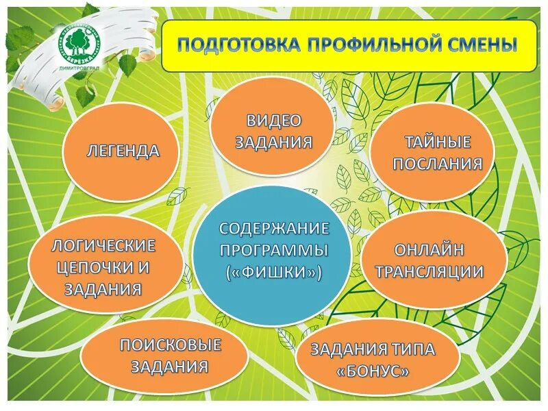 Программа профильные смены. Тематики профильных смен. санаторий березка презентация. детский санаторий задачи. отличие профильной смены от тематической.