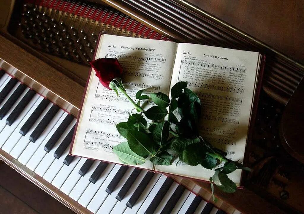 Литературный романс. Фортепиано. Музыкально-поэтический вечер. Русский романс. Цветы на рояле.