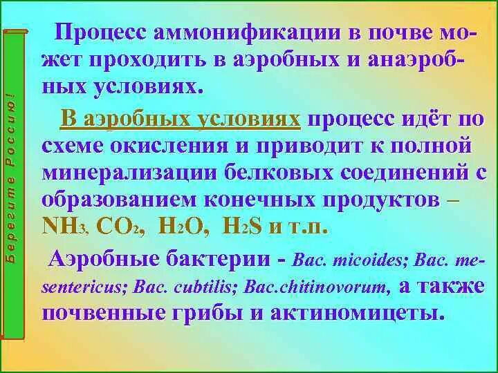 Аммонификация. Процесс аммонификации белков. Процесс аммонификации в почве. Аммонификация в аэробных условиях. Конечные продукты аммонификации.