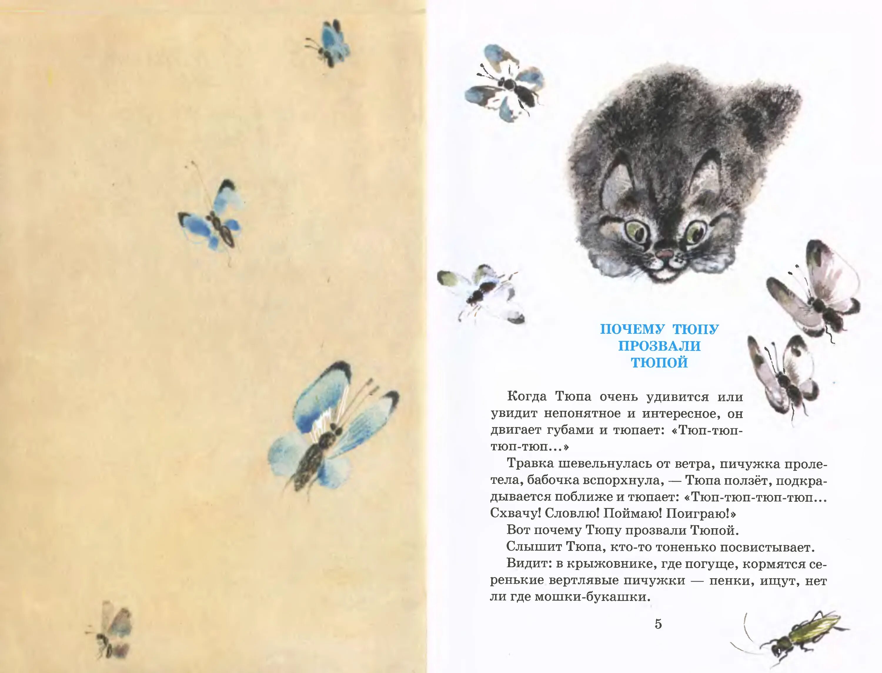 Рассказы про тюпу. Чарушин тюпа. Чарушин тюпа. Чарушин тюпа и томка. Почему тюпу прозвали тюпой чарушин.