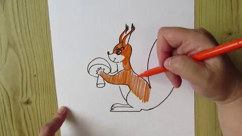 Видео как нарисовать белку