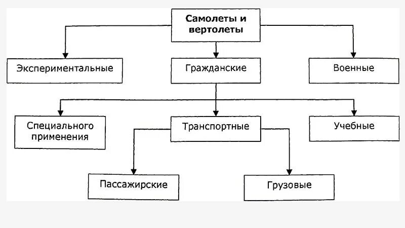 Мини проект классификация информатика 6 класс Картинки КЛАССИФИКАЦИЯ КОВАЛЕВА