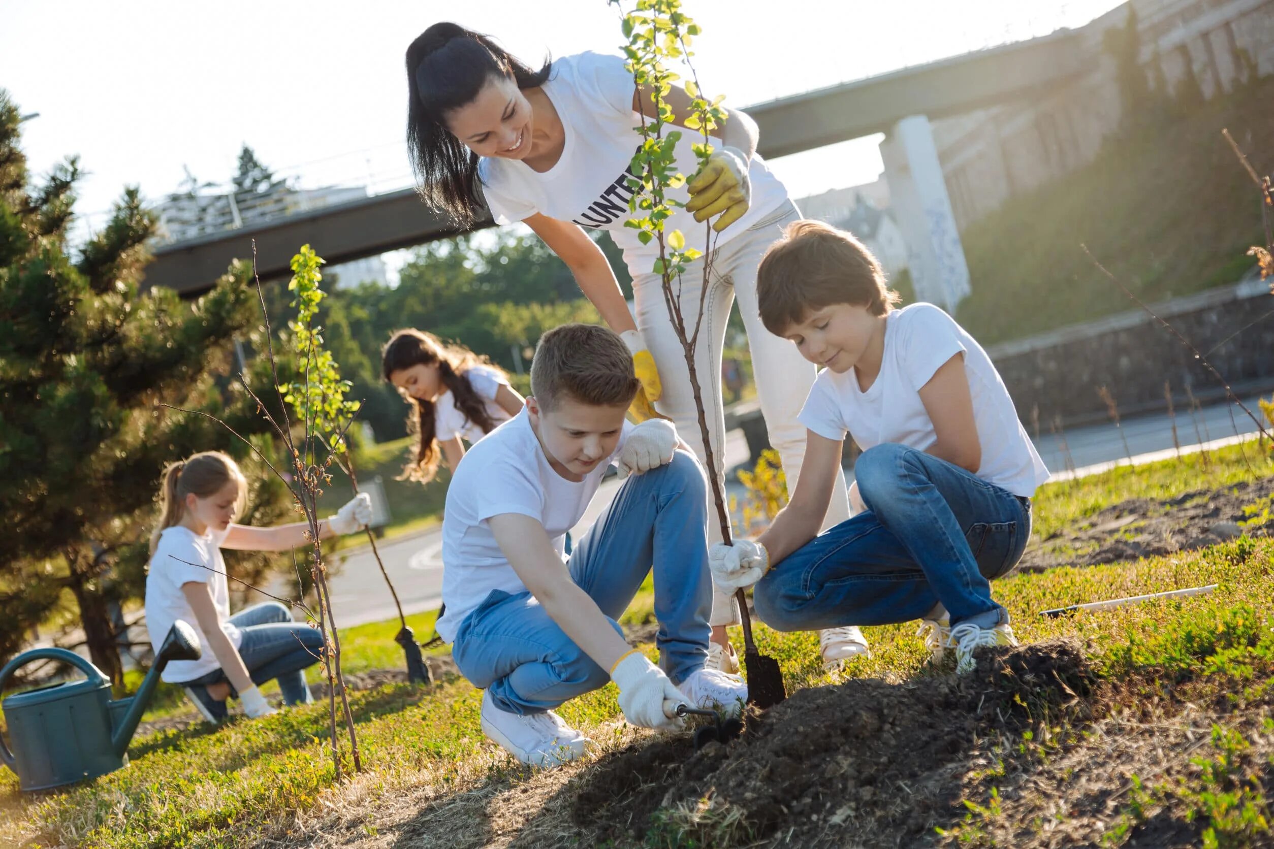 Boys plant. Засаживание новых деревьев. Мальчик сажает дерево фото. Ролики парк Сток. Отец и сын сажают дерево.