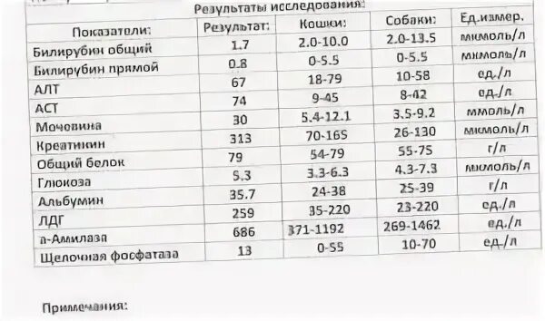 Алт у беременных