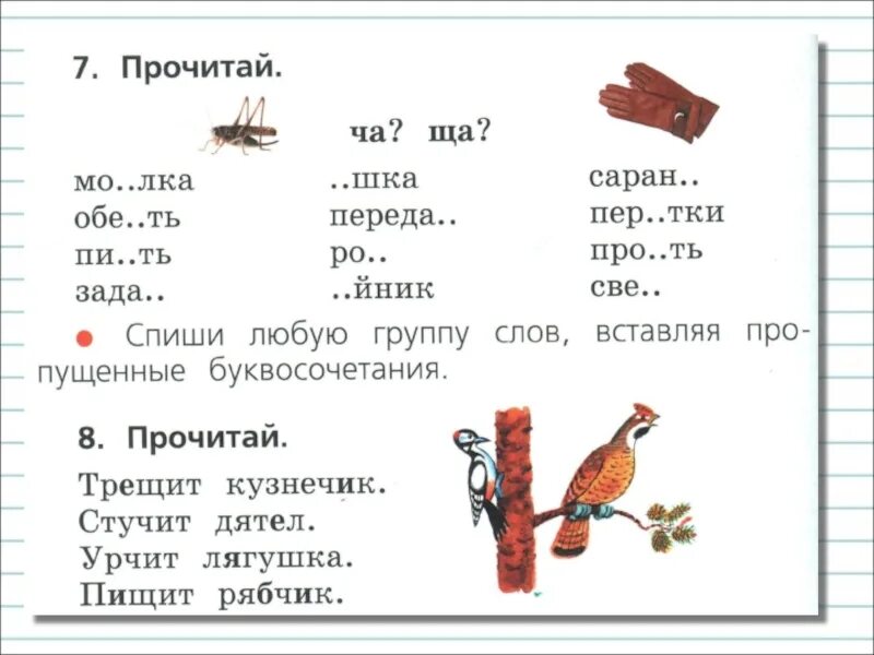 Ча ща чу щу слова 1 класс. Задания по русскому языку 1 класс Чу ЩУ. Правописание жи ши 1 класс задания. Правописание ча-ща Чу-ЩУ 1 класс карточки с заданиями. Упражнения по русскому языку 1 класс жи ши.