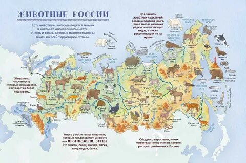 Карта расту