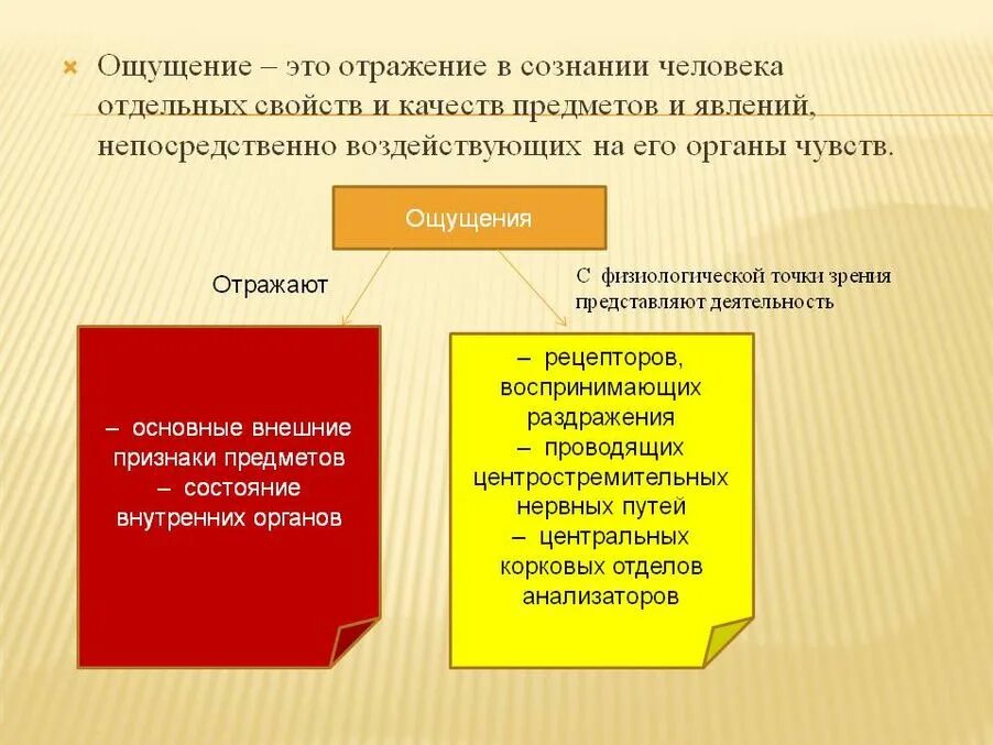 Качества зависит то насколько. Отражение в сознании человека отдельных свойств и качеств предметов. Отражение в сознании человека отдельных свойств. Ощущение это отражение в сознании человека. Отражение в сознании человека внешних свойств.