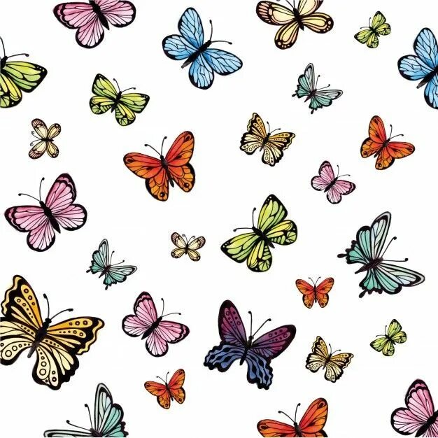 Butterfly pattern