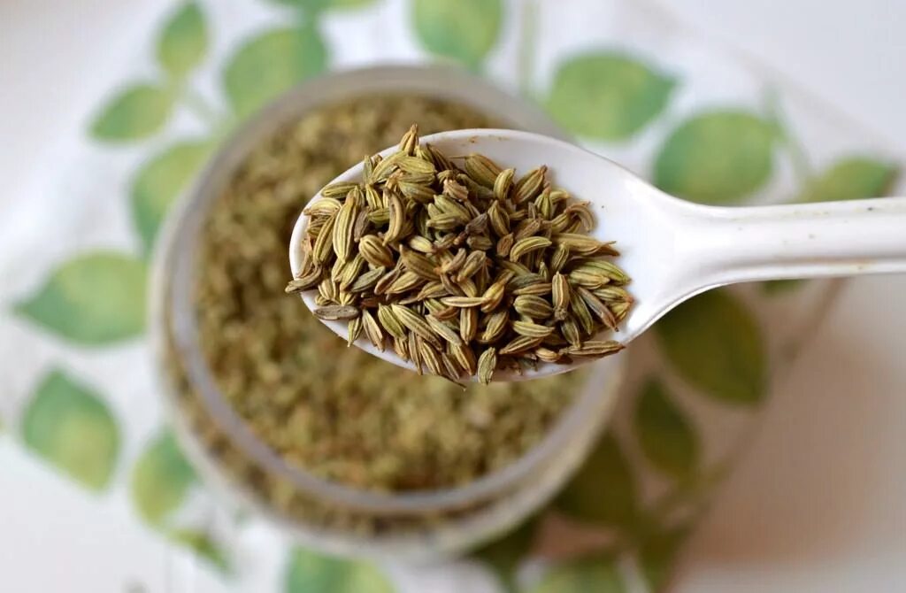 Анис и фенхель. Чай фенхель анис тмин. Отвар укропа. Укроп. Как заваривать укроп.