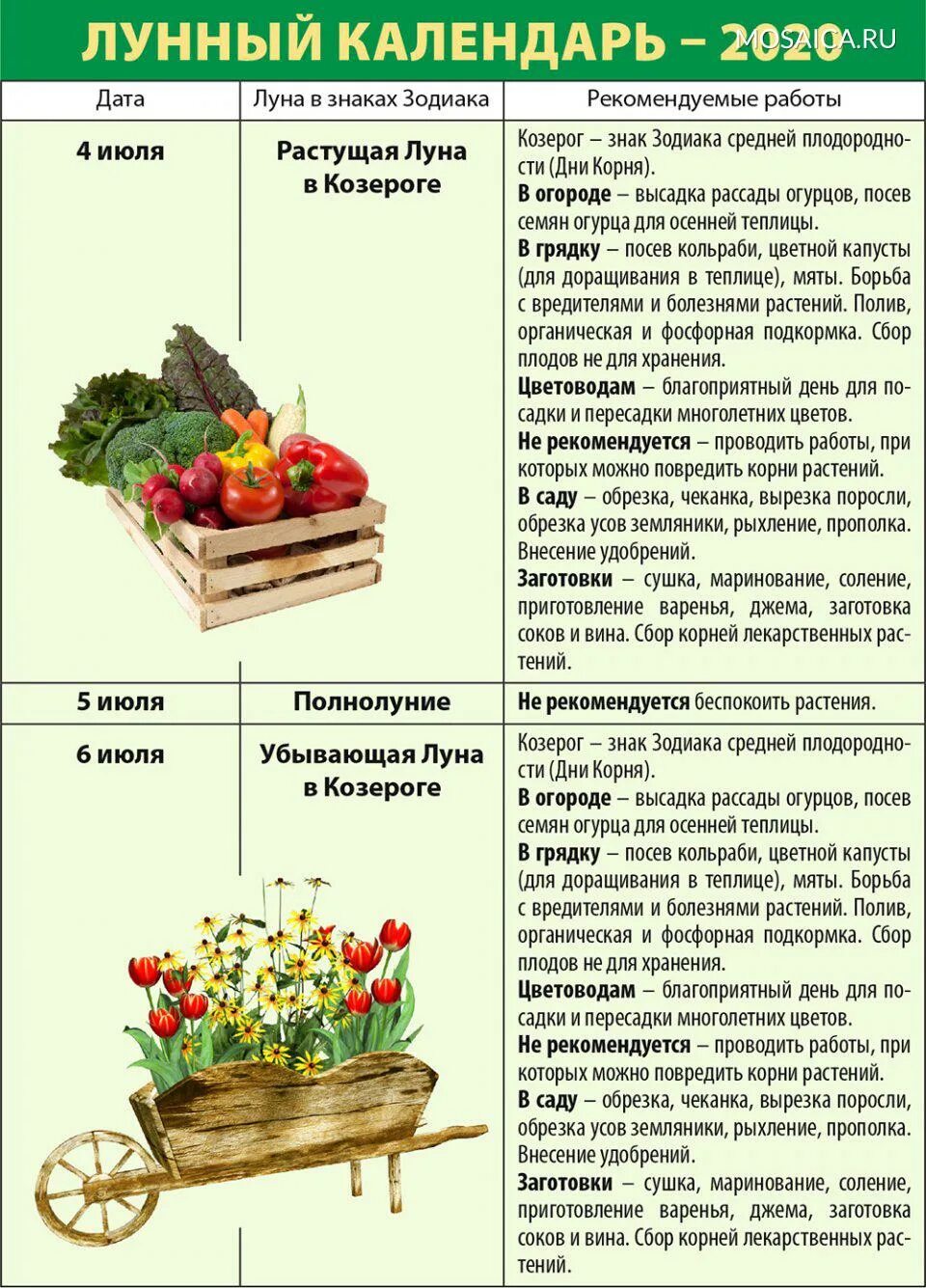 Миркосмоса ру лунный календарь садовода и огородника. Таблицы садовода огородника. Знак зодиака сегодня для огородника. Гороскоп садовода и огородника. Козерог для садовода и огородника.