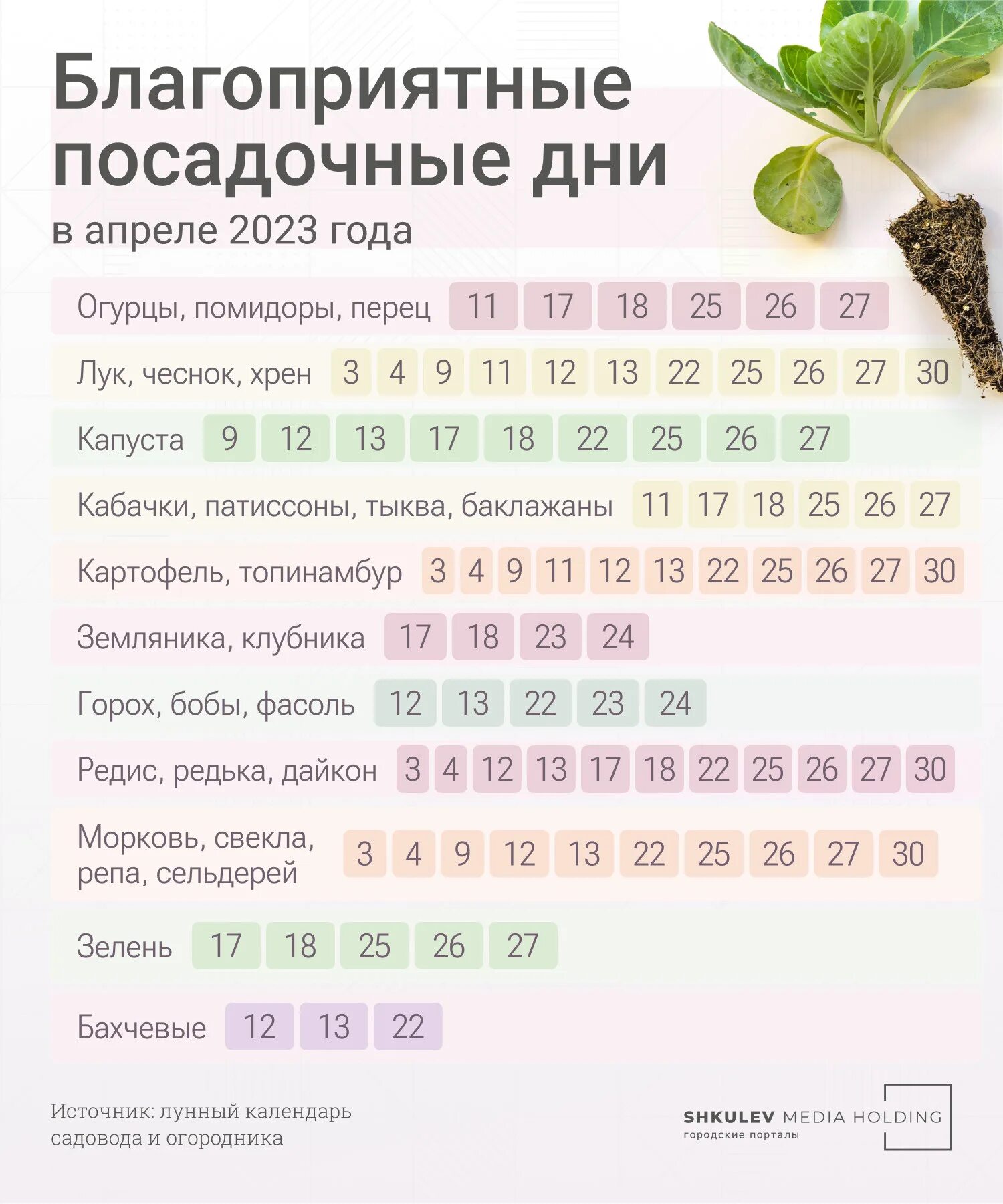 Сеять цветы в апреле по лунному календарю