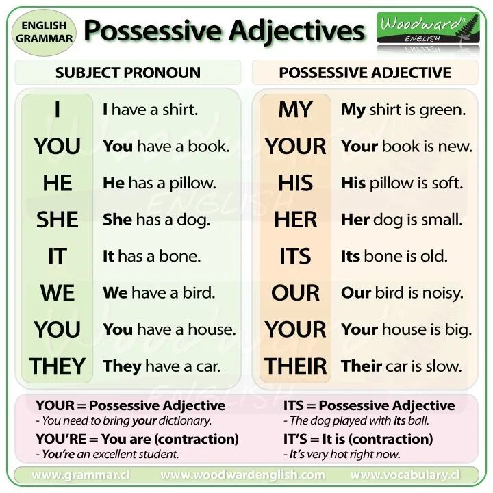 Possessive adjectives. Possessive adjectives в английском языке. Possessive adjectives в английском правило. Possessive adjectives and pronouns в английском. Its в английском