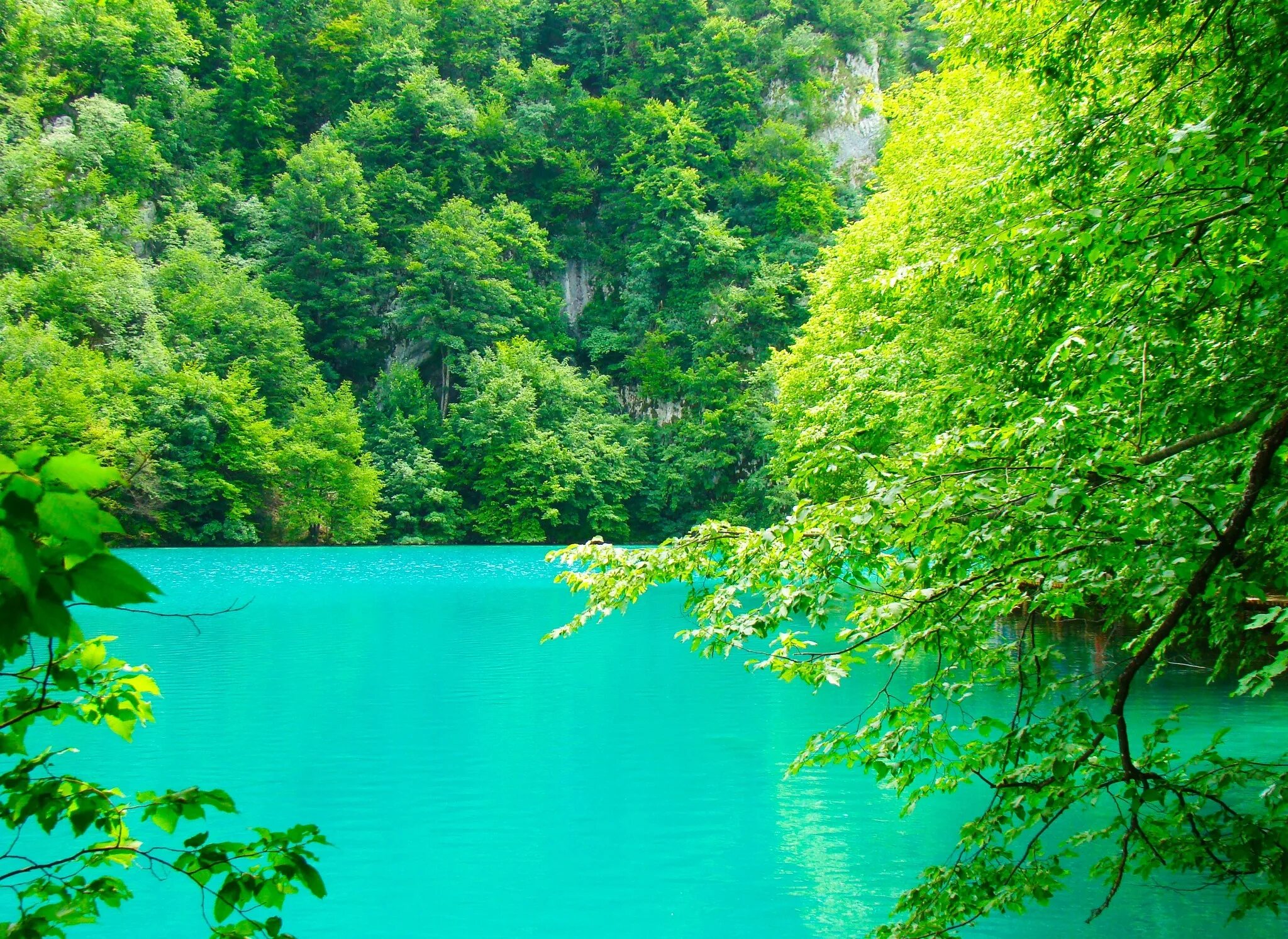Море сосны. Красивые виды природы. Сосны озеро горы. Пейзажи крыма. Лес и море.