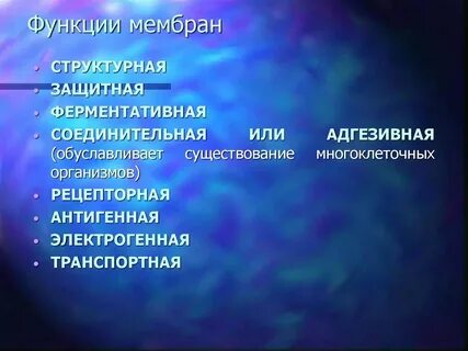 Ферментативную функцию мембран обеспечивают