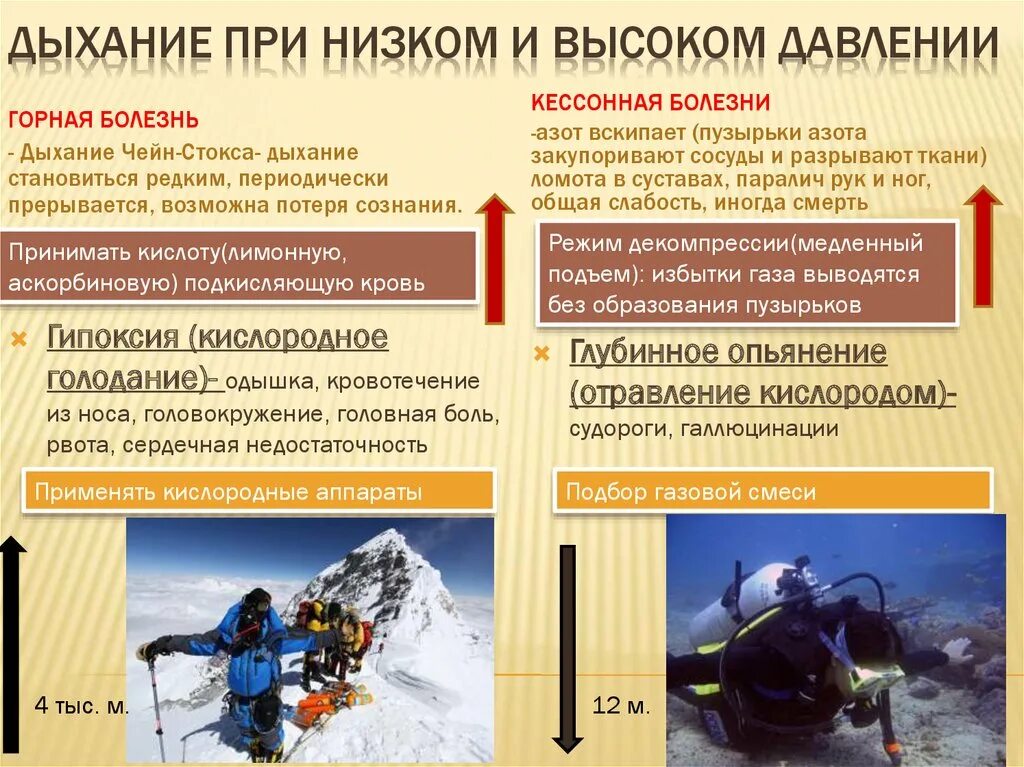 Понижение между хребтами