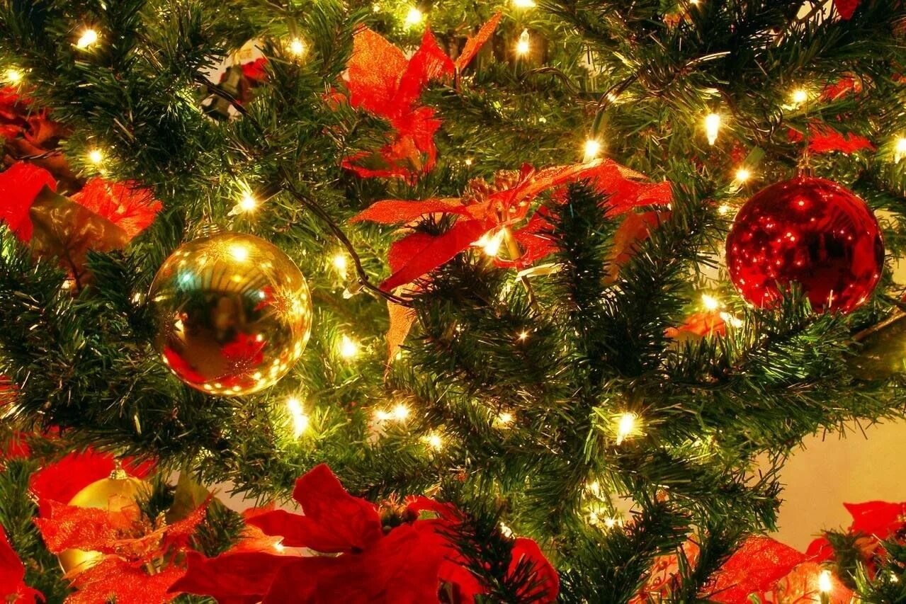Download wallpaper 2560x1580 tree, christmas, presents, fireplace, holiday, toys