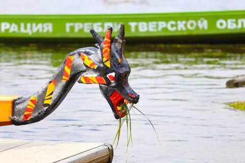 Драконы тверь