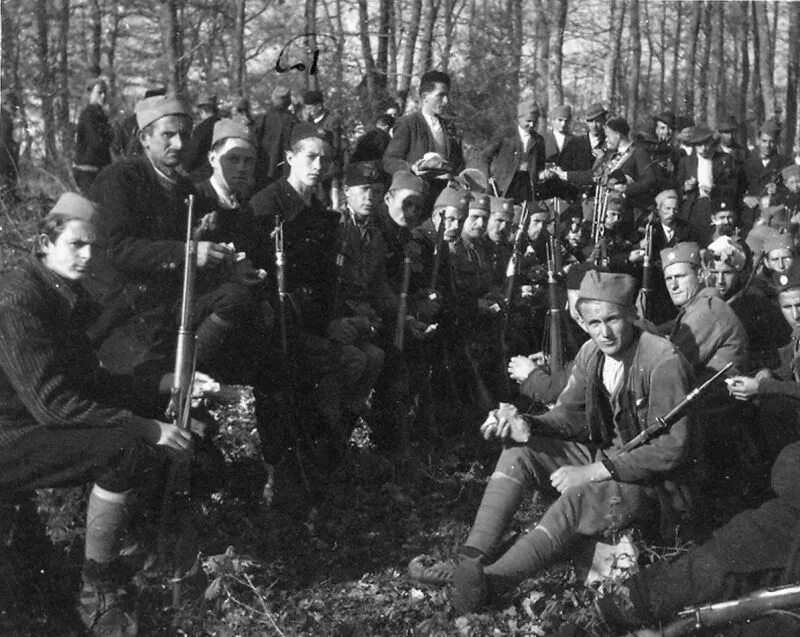 Партизаны в строю. Партизанский отряд в Приднестровье 1943. Партизанский отряд Бойко-Павлова. Партизанские отряды Кубани 1943. Белорусские Партизаны 1941.