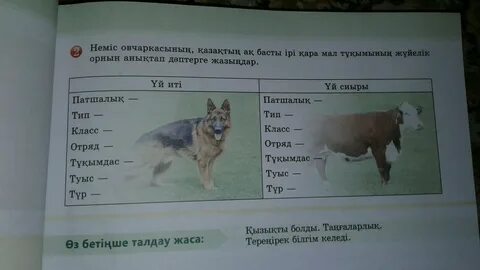 Запишите массы животных