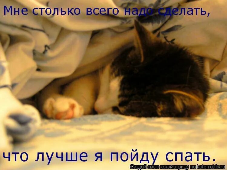 Сплю я сплю. Я спать картинки. Спящий котик с надписью. Котик собирается спать.