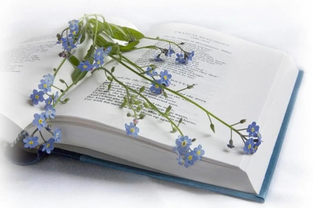 Книга цветы. Поэзия. Современная поэзия. Книга с цветами.
