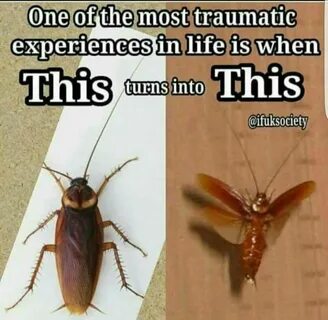 That is a nightmare come to life Couple Laughing, Haha, Indian Jokes, Cry F...