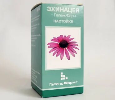 Эхинацея настойка для иммунитета отзывы