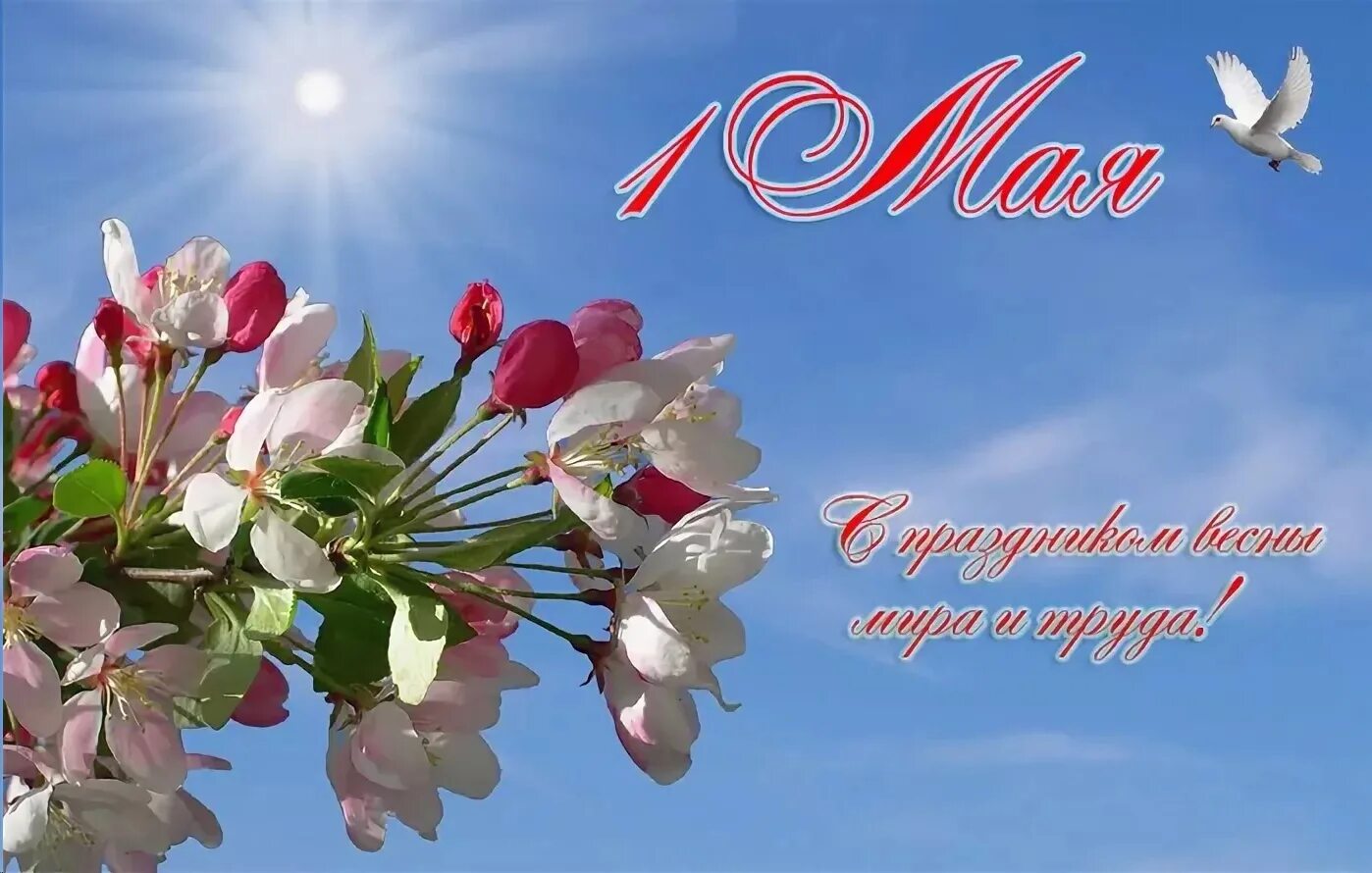 Traditional May Day processions to be held in Moscow - Russia - TASS