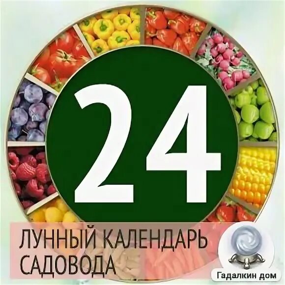 Лунный календарь огородник апрель 2024. Растущая луна и растения. Календарь благоприятных посадок. Календарь посадок на 2024. Лунный посевной календарь на 2023 год таблица.