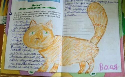 Проект как защищают природу 4 класс окружающий мир проект - Фотоподборки 1