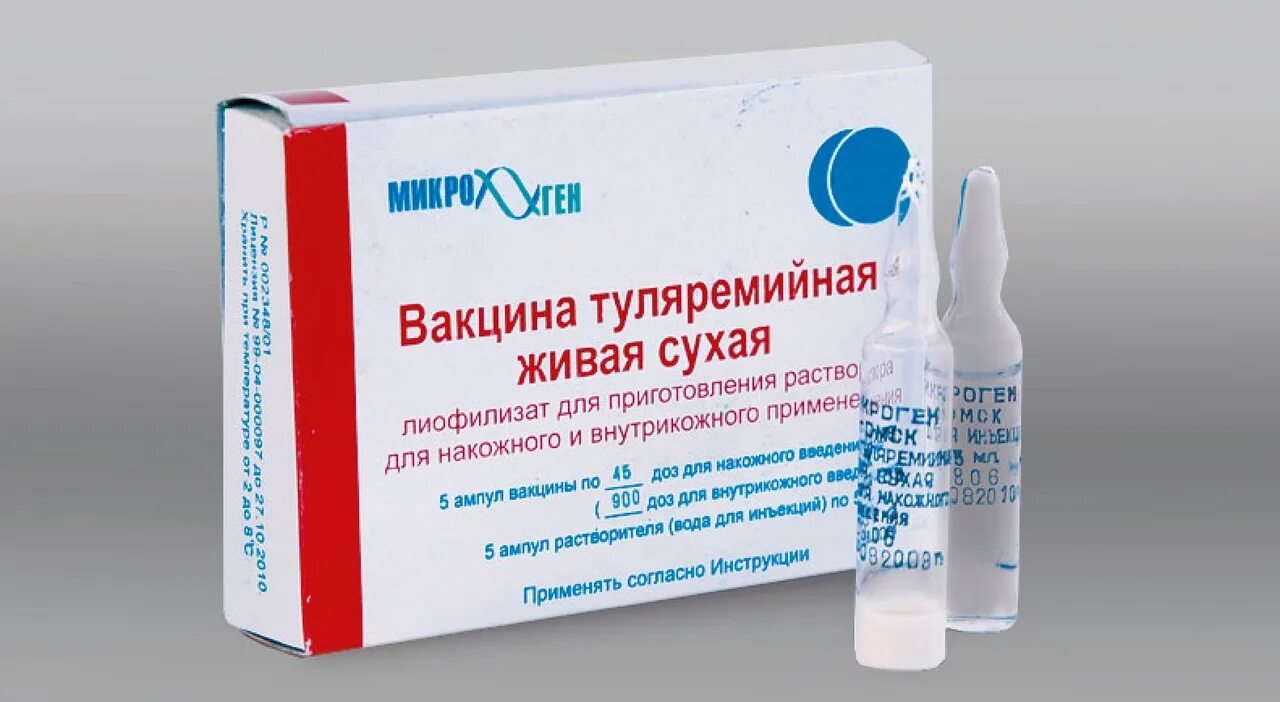 Вакцина при заражении. Вакцина туляремийная живая. туляремийная живая сухая накожная вакцина. вакцина против туляремии. специфическая профилактика туляремии вакцина.