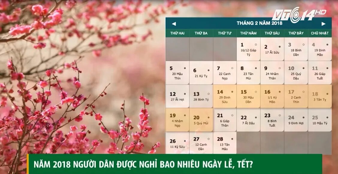 Bao nhieu. Run cap duoi ngu ngay ngay ngay tan the. Teleheal dai hoc y ha noi ngay 9 thang 01 nam 2023. Ngay thang nam Bath. Chim 4 tuổi bao nhiêu cm.