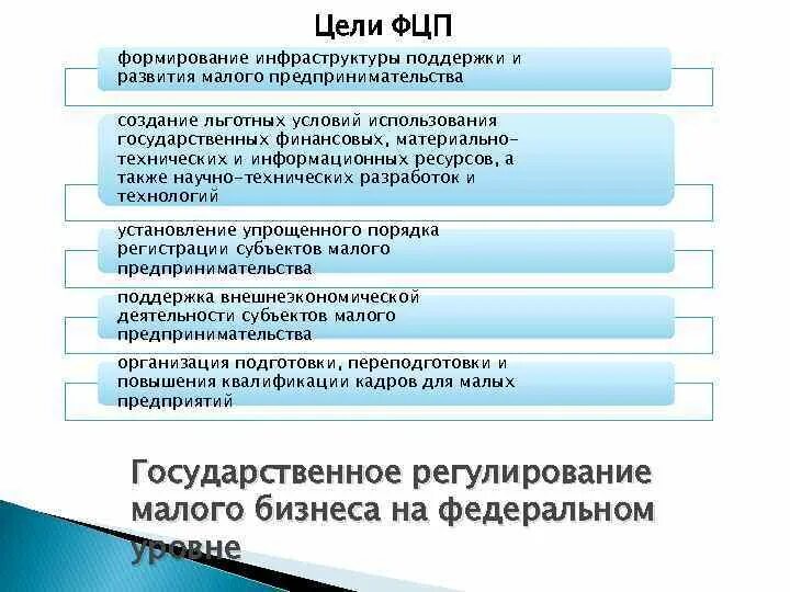 Кадровые ресурсы для малого предпринимательства. Цели малого предпринимательства. Федеральные программы поддержки бизнеса. Государственное регулирование малого бизнеса.