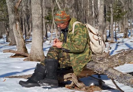 Тайга 14