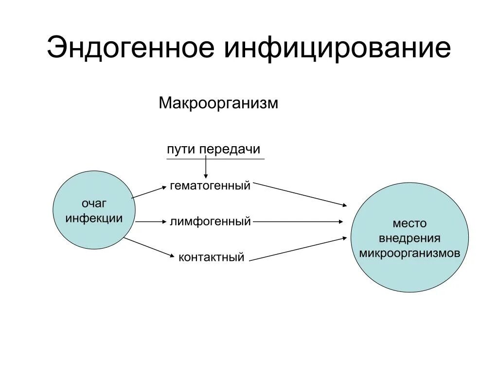 Что такое эндогенное питание
