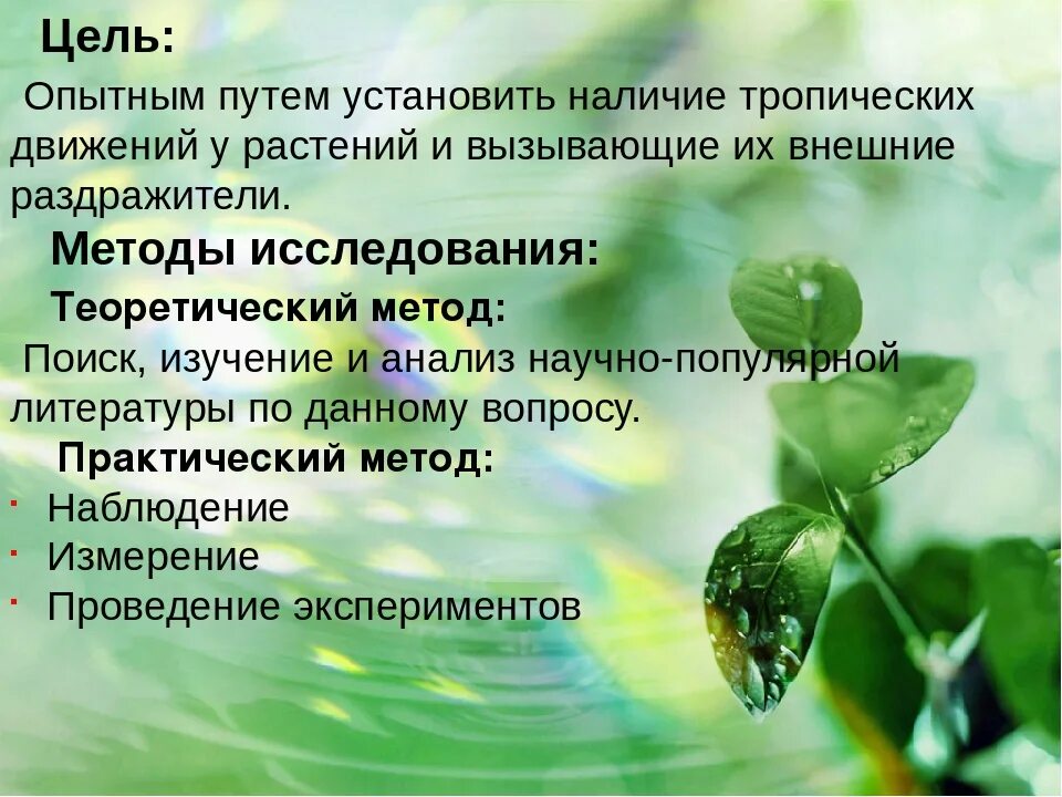 Значение роста в жизни растений 5. Роль воды в жизни растений картинки. Условия жизни растений гипотеза. Роль воды в жизни растений 6 класс биология. Принципы в жизни растений.