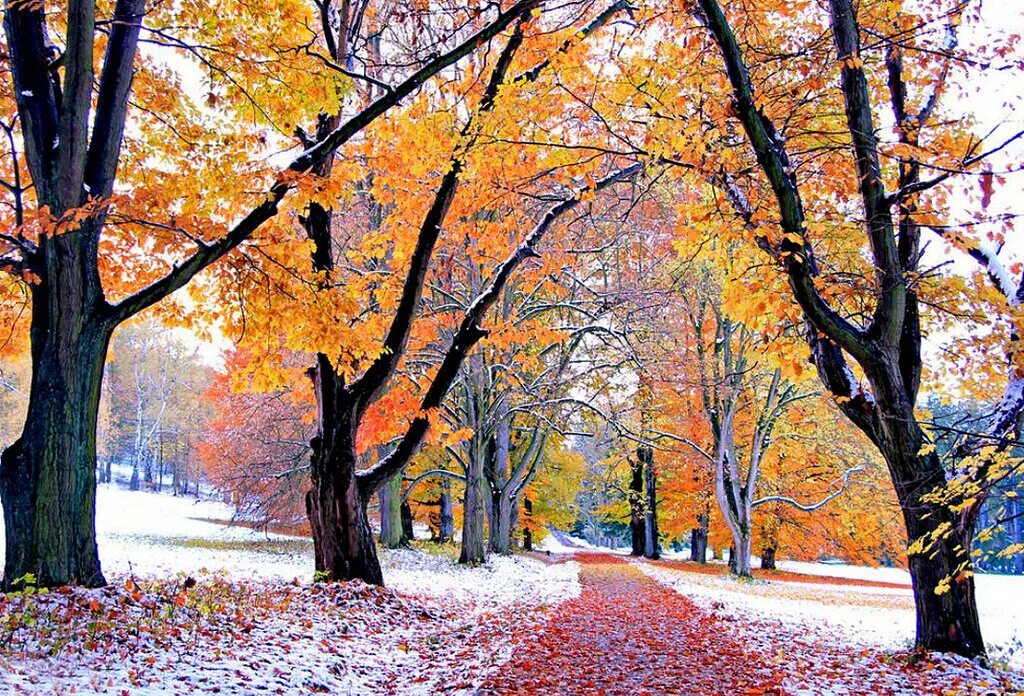 Осень и зиму корчагин не любил они. Осень зима. Ноябрь. Предзимняя осень. Красивые осенне зимние картинки.