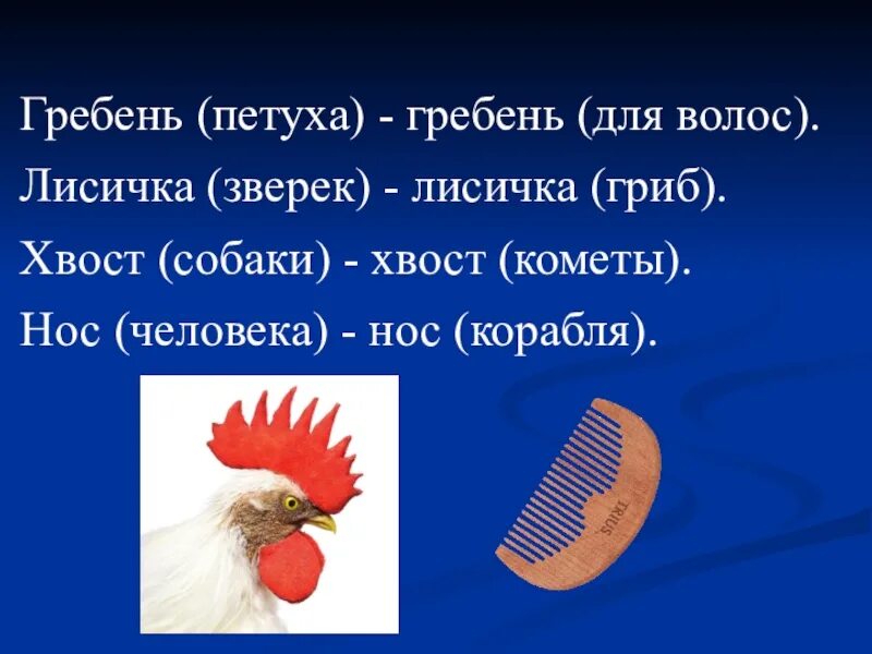 Гребень лексическое. Гребень петуха,гребень для волос. Гребень для волос предложения. Предложение с многозначным словом гребень. Гребень несколько значений.